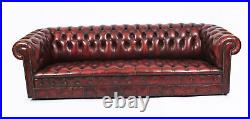 Vintage Large 8ft2 English Button Back Leather Chesterfield Sofa mid 20th C
