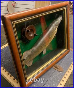 Vintage Real Taxidermy Pike in Case with Antique Fishing Reel, English wall hang