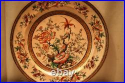 Vintage T Till & Son Shanghae Antique English Ironstone Plate Pre 1861 Moti14
