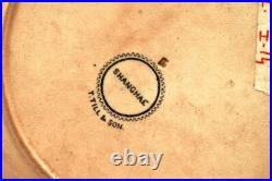 Vintage T Till & Son Shanghae Antique English Ironstone Plate Pre 1861 Moti14