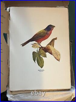 Vintage antique 15 issues 1897 & 1898 Birds magazine Nature Study Publ. Co
