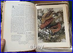 Vintage antique 15 issues 1897 & 1898 Birds magazine Nature Study Publ. Co