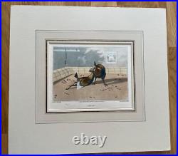 Vintage, antique Art, Cock Fighting set of 4 1840 Old English Game Engraving OEG