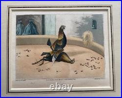 Vintage, antique Art, Cock Fighting set of 4 1840 Old English Game Engraving OEG