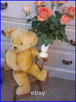 Vintage antique Jointed English Large 25 Golden traditional Teddy Bear Bobbi